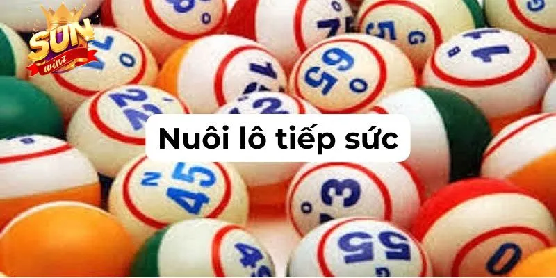 Tìm hiểu thế nào là nuôi lô tiếp sức online? 