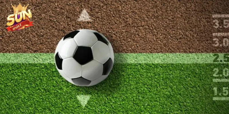 Hướng dẫn đọc kèo tài xỉu 2.5-3 tại Sunwin